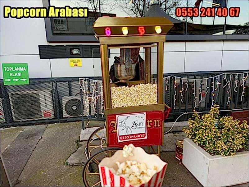 Kiralık Mısır Arabası