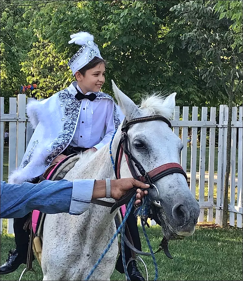 Sünnet Organizasyon Fiyatları