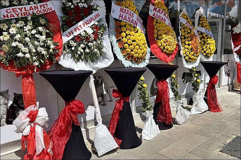 Profesyonel Açılış Organizasyonu Gerekli Tüm Bilgiler