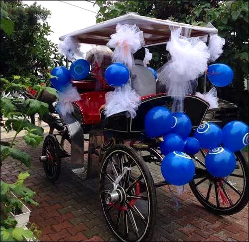 Fayton Kiralama Kiralık Fayton