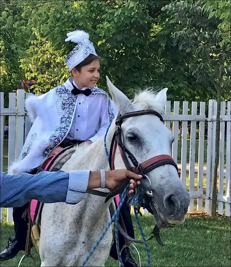 At kiralama-Kiralık at